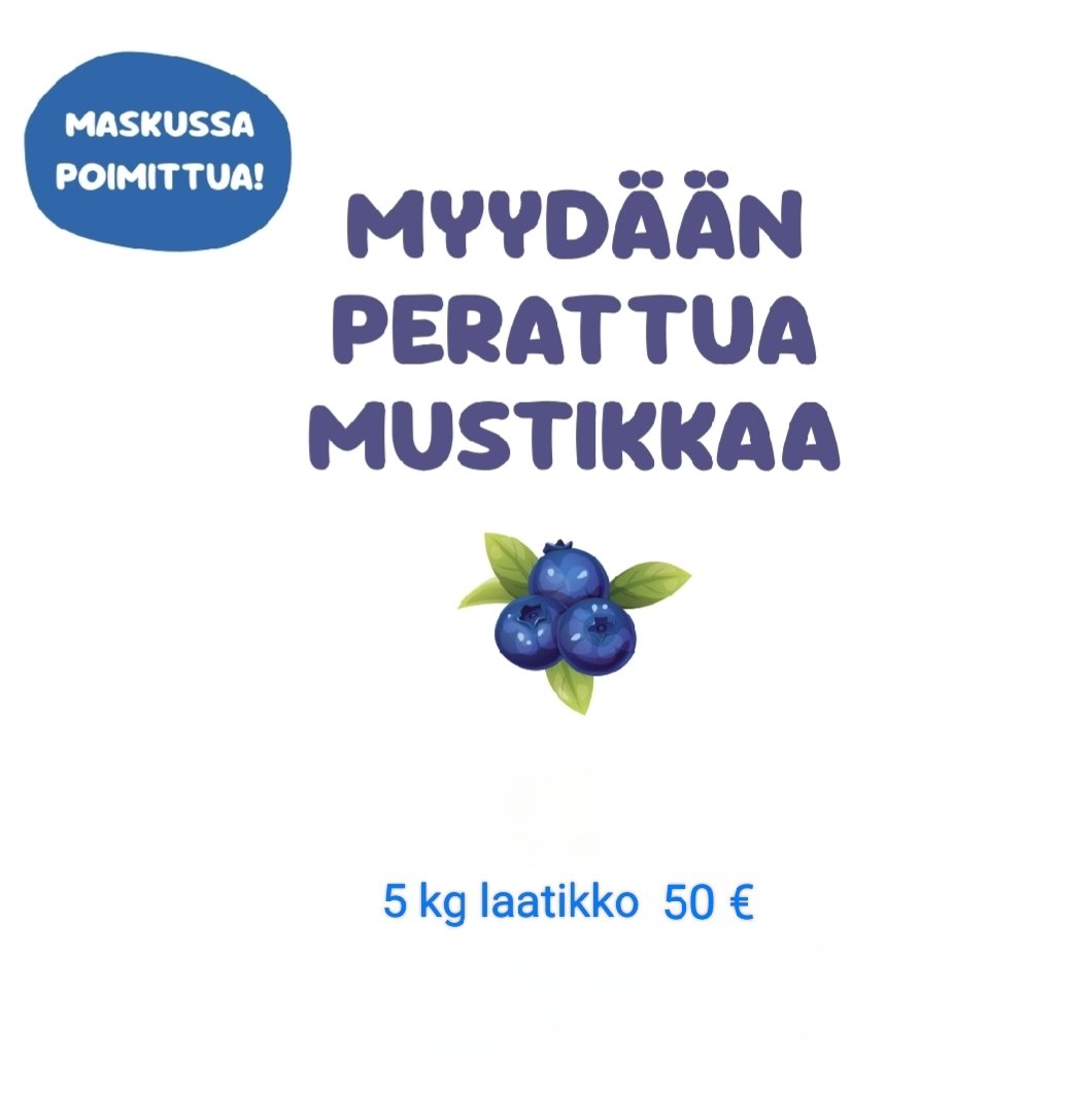 Mustikkaa