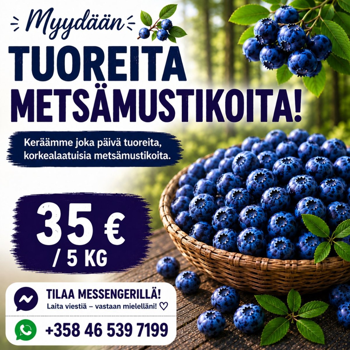mustikka