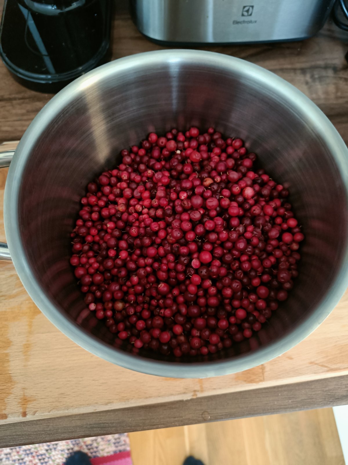 Tuoretta puolukkaa