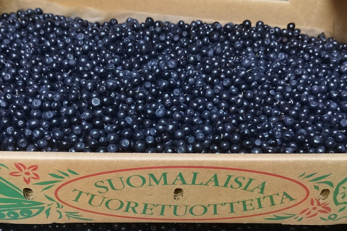 Myydään mustikkaa