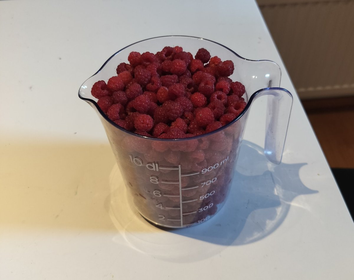 Juuri poimittuja metsävadelmia Kangasalla