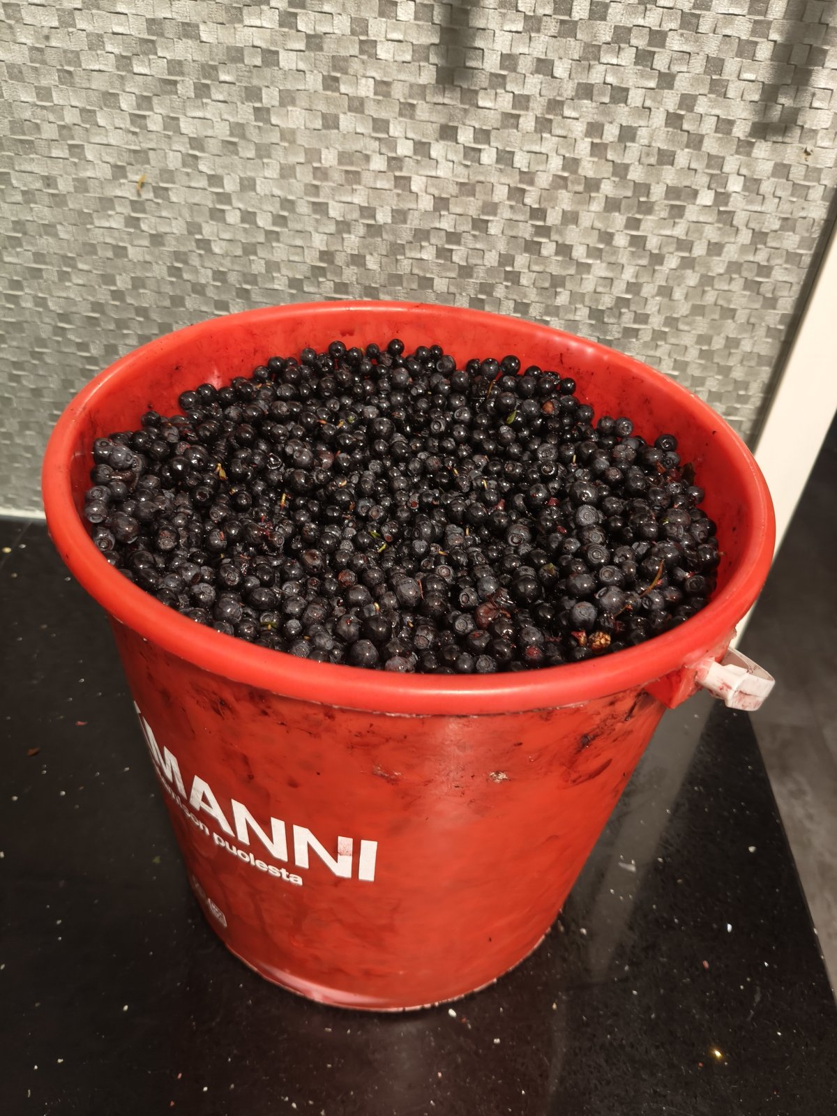 10 litraa tänään poimittua ja putsattua metsämustikkaa.