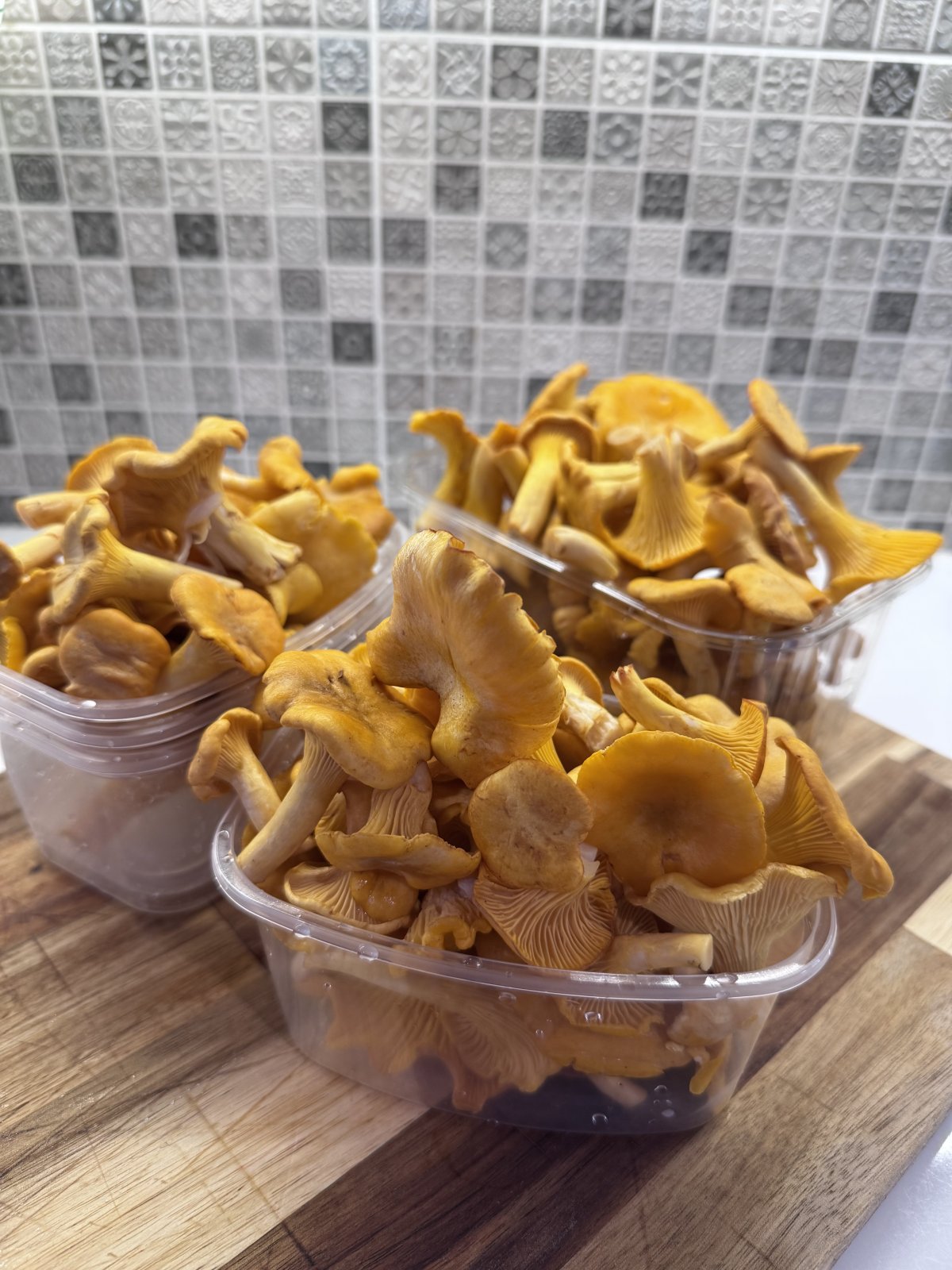 🍄‍🟫🌿 Tuoreita, puhdistettuja kantarelleja