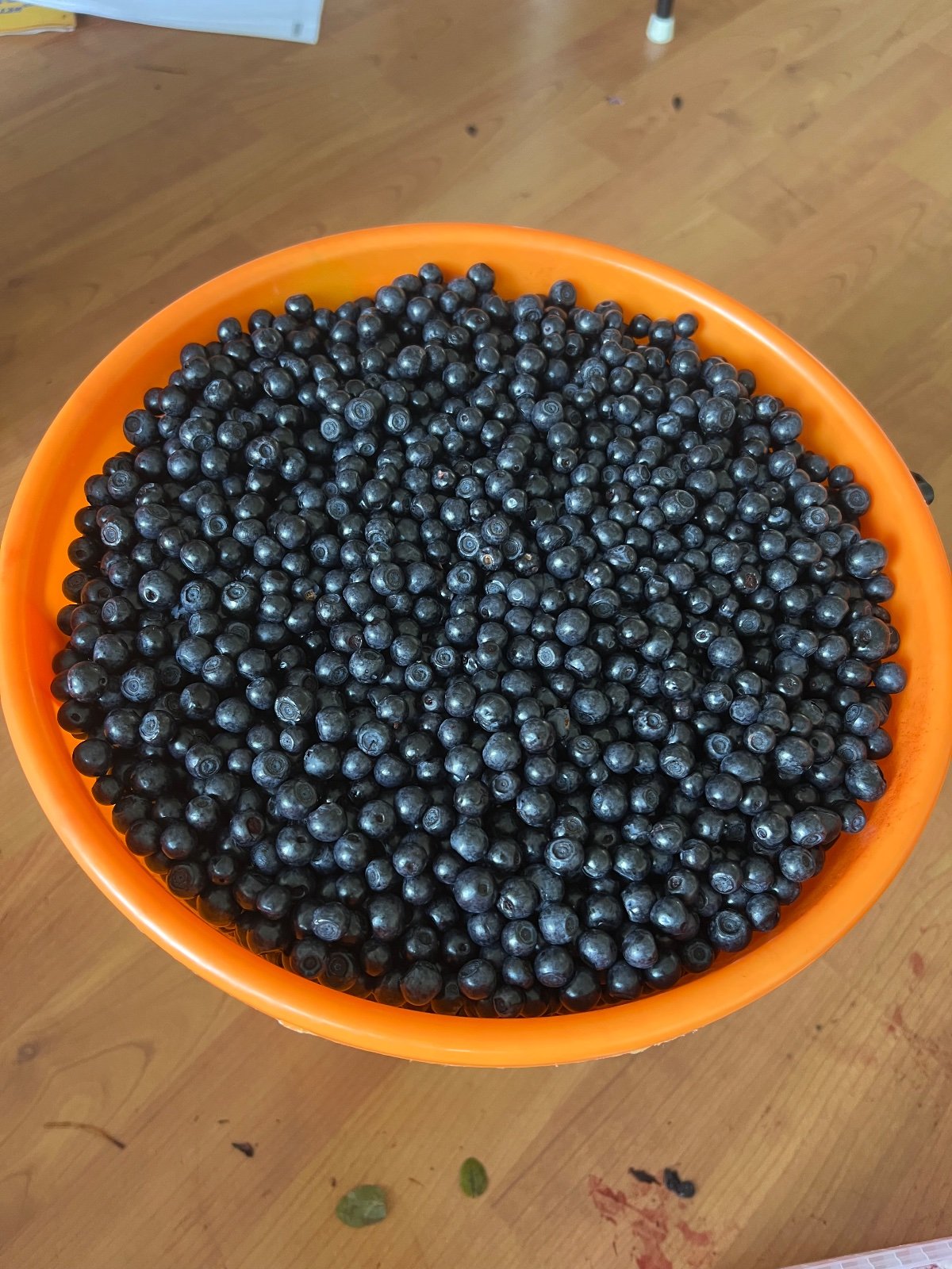 Tuoreita mustikoita Porista