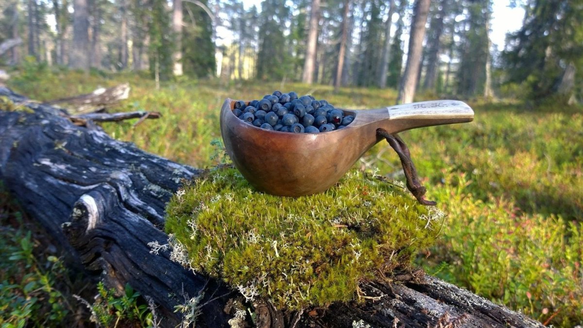 🫐Kotiinkuljetettua mustikkaa!🫐