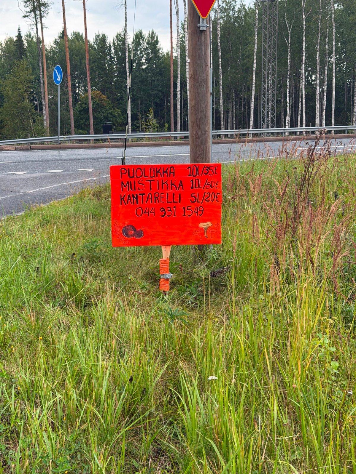 Kerätään puolukoita tilauksesta forssa/karkkila