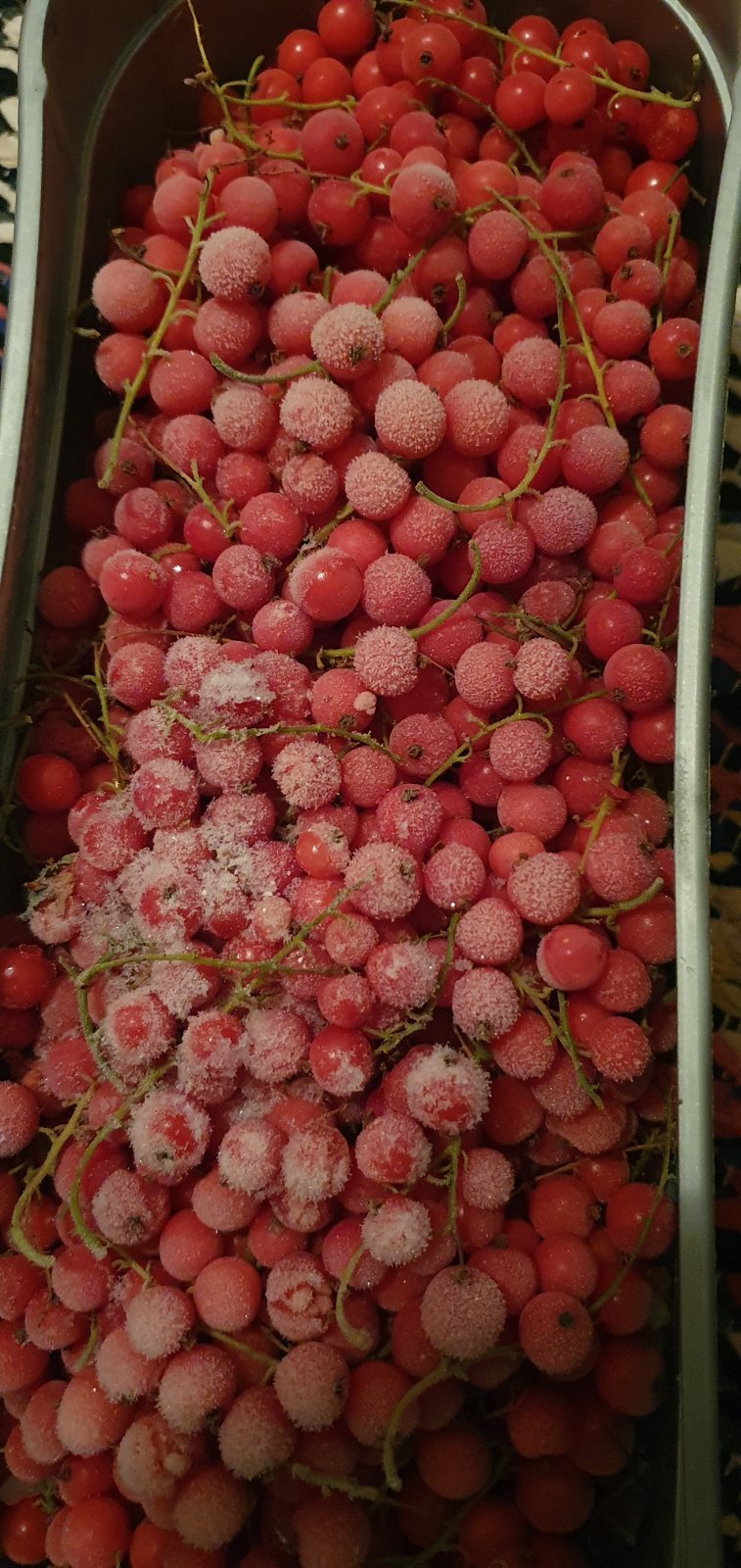 Punaherukkaa